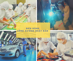 don-hang-cong-xuong-nhat-ban