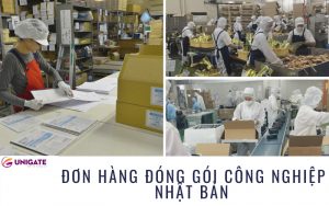 -hang-dong-goi-cong-nghiep-nhat-ban